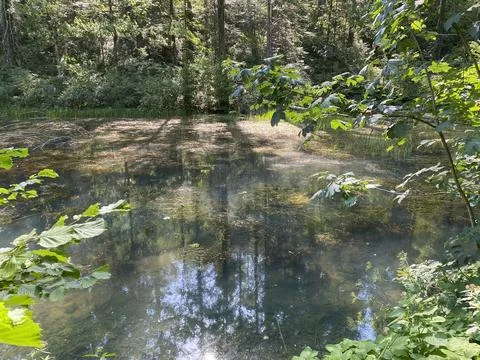 Small forest spring Čogrljevo Lake or Čogrlje's Lake in the hamlet of Tići 스톡 사진