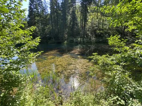 Small forest spring Čogrljevo Lake or Čogrlje's Lake in the hamlet of Tići Foto stock