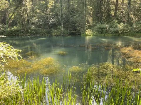 Small forest spring Čogrljevo Lake or Čogrlje's Lake in the hamlet of Tići 스톡 사진