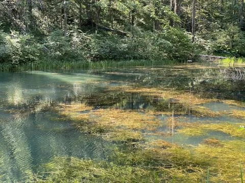 Small forest spring Čogrljevo Lake or Čogrlje's Lake in the hamlet of Tići 스톡 사진
