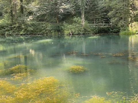 Small forest spring Čogrljevo Lake or Čogrlje's Lake in the hamlet of Tići Stock Photos