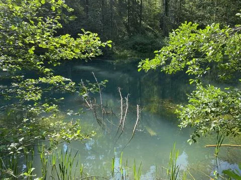Small forest spring Čogrljevo Lake or Čogrlje's Lake in the hamlet of Tići 스톡 사진