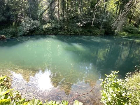 Small forest spring Čogrljevo Lake or Čogrlje's Lake in the hamlet of Tići Foto stock