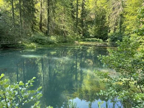 Small forest spring Čogrljevo Lake or Čogrlje's Lake in the hamlet of Tići Foto stock