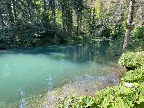 Small forest spring Čogrljevo Lake or Čogrlje's Lake in the hamlet of Tići Stock Photos