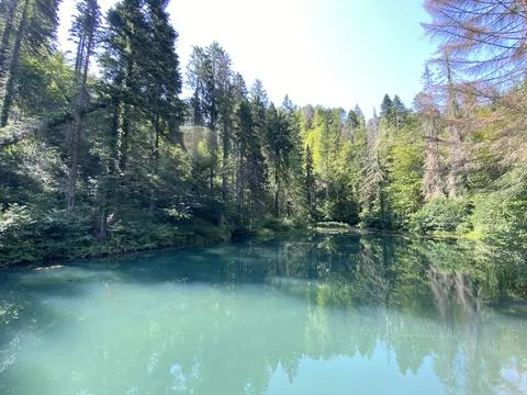 Small forest spring Čogrljevo Lake or Čogrlje's Lake in the hamlet of Tići Stock Photos