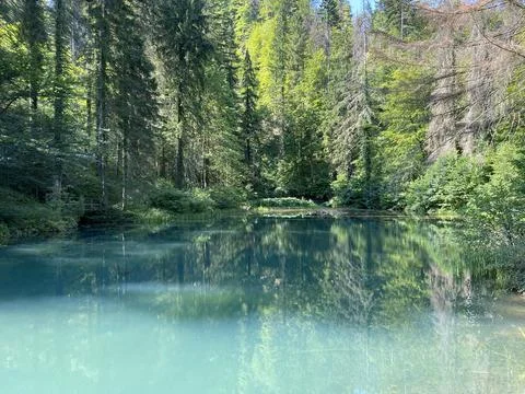 Small forest spring Čogrljevo Lake or Čogrlje's Lake in the hamlet of Tići Foto stock