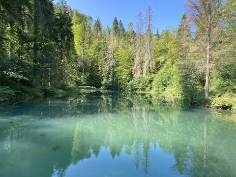 Small forest spring Čogrljevo Lake or Čogrlje's Lake in the hamlet of Tići 스톡 사진