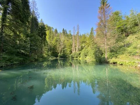 Small forest spring Čogrljevo Lake or Čogrlje's Lake in the hamlet of Tići 스톡 사진