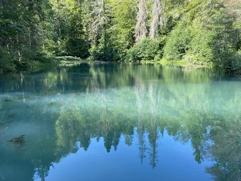 Small forest spring Čogrljevo Lake or Čogrlje's Lake in the hamlet of Tići Foto stock