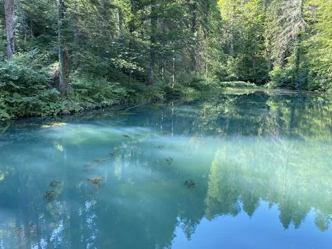 Small forest spring Čogrljevo Lake or Čogrlje's Lake in the hamlet of Tići 스톡 사진
