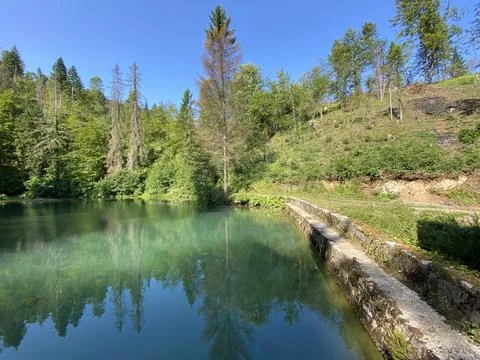 Small forest spring Čogrljevo Lake or Čogrlje's Lake in the hamlet of Tići Foto stock