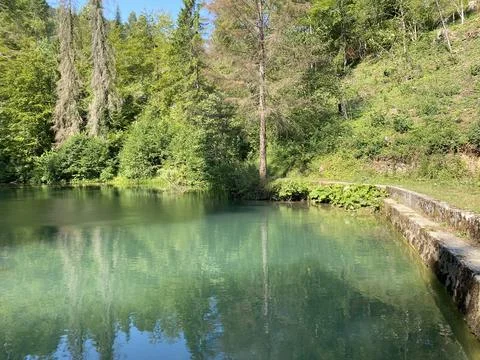 Small forest spring Čogrljevo Lake or Čogrlje's Lake in the hamlet of Tići Foto stock