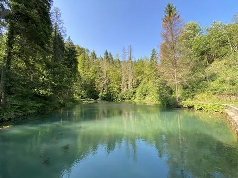 Small forest spring Čogrljevo Lake or Čogrlje's Lake in the hamlet of Tići 스톡 사진