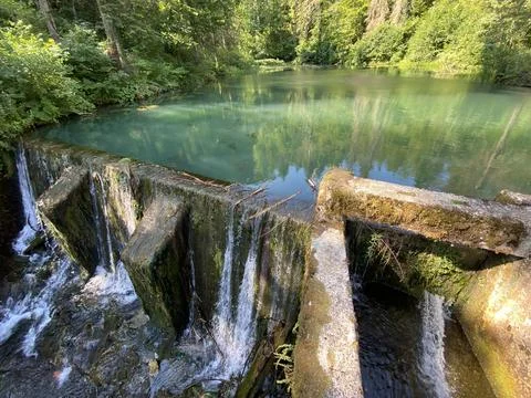 Small forest spring Čogrljevo Lake or Čogrlje's Lake in the hamlet of Tići Foto stock
