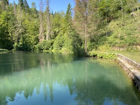 Small forest spring Čogrljevo Lake or Čogrlje's Lake in the hamlet of Tići 스톡 사진
