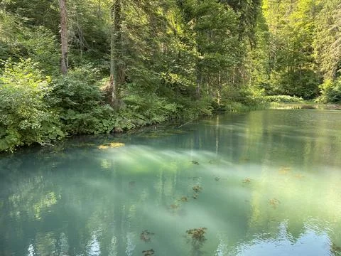 Small forest spring Čogrljevo Lake or Čogrlje's Lake in the hamlet of Tići 스톡 사진