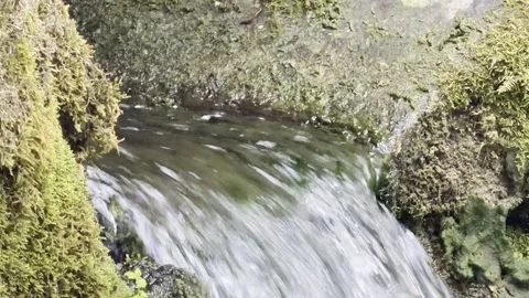Small forest stream cascade slow motion Vídeos de archivo 335541400