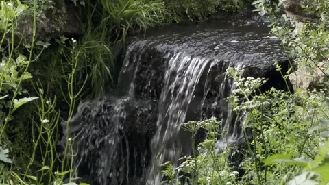 Small forest stream cascading over rocks detail Vídeos de archivo 335541938