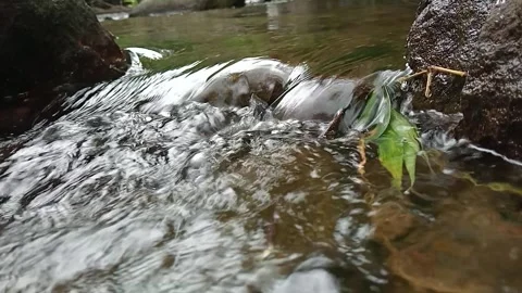 Small Forest Stream Flowing Between Rocks with Natural Water Motion Stock Footage 330582312