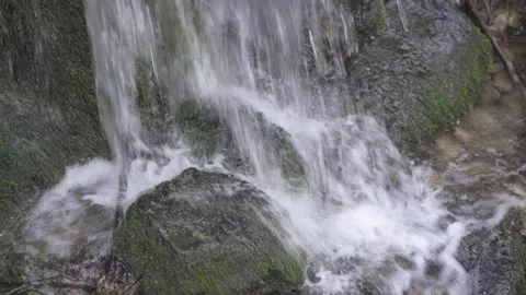 Small Forest Stream Flowing Over Rocks Stock Footage 323473576