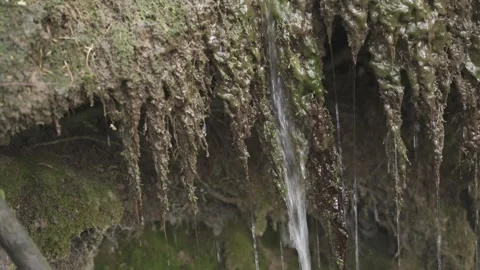 Small Forest Stream Flowing Over Rocks Stock Footage 323475195