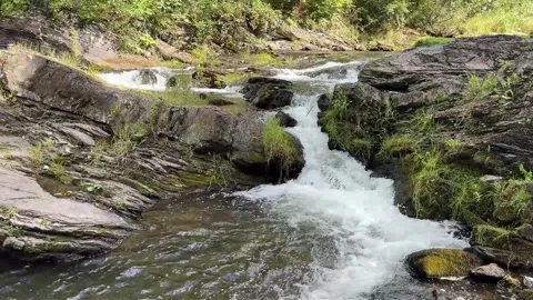 Small forest stream flowing over rocks and rapids. Stock Footage 343717963