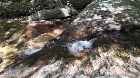 Small Forest Stream Flowing Over Rocks in Dappled Light Stock Footage 345101860