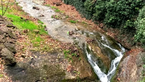 A small forest stream flowing through rocky cliffs, surrounded by lush greenery. Stock Footage 238033584