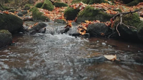 Small forest stream flows over a tiny waterfall among rocks. Colorful autum.. Video stock 329959880