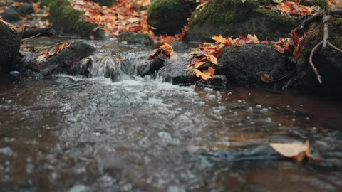 Small forest stream flows over a tiny waterfall among rocks. Colorful autum.. Video stock 329959887