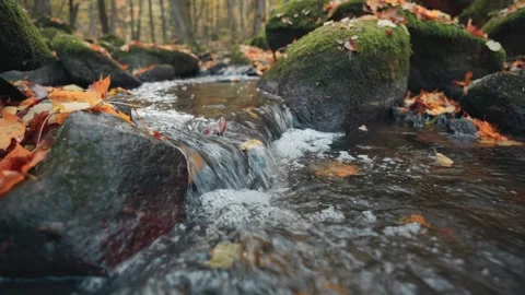 Small forest stream flows over a tiny waterfall among rocks. Colorful autum.. Video stock 329959899