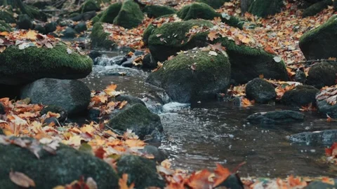 Small forest stream flows over a tiny waterfall in slow motion. Colorful au.. Video stock 329959909
