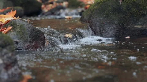 Small forest stream flows over a tiny waterfall in slow motion. Colorful au.. Video stock 329959929