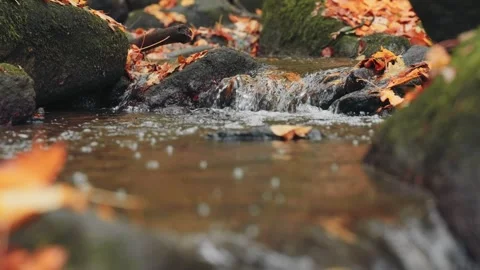 Small forest stream flows over a tiny waterfall in slow motion. Colorful au.. Video stock 329959952