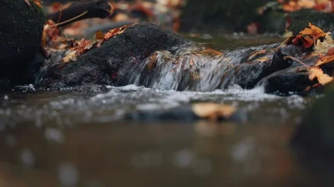 Small forest stream flows over a tiny waterfall among rocks. Colorful autum.. Video stock 329959962