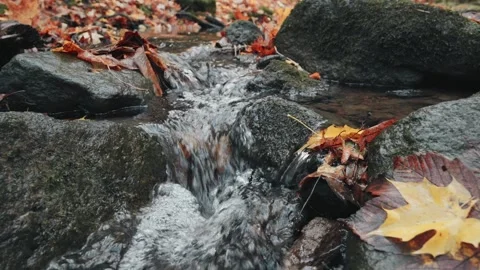 Small forest stream flows over a tiny waterfall among rocks. Colorful autum.. Video stock 329959969