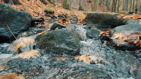 Small forest stream flows over a tiny waterfall among rocks. Colorful autum.. 库存影片 329959979