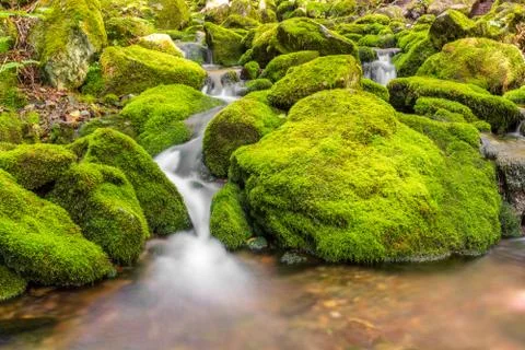 Small forest stream near third vault falls Stock Photos