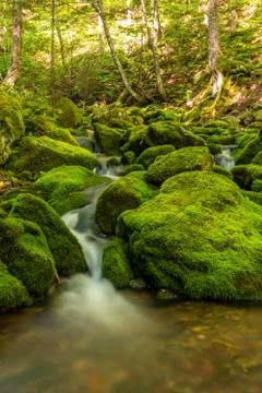 Small forest stream near third vault falls Stock Photos