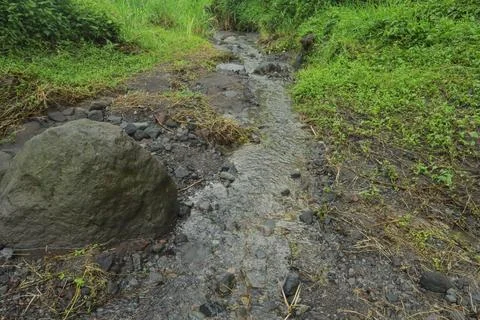 Small Forest Stream Stock Photos