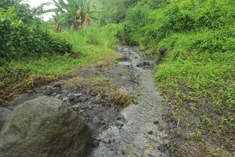 Small Forest Stream Stock Photos