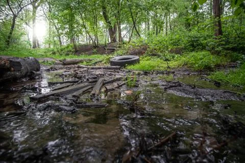 A small forest stream polluted with household waste. Stock-Fotos