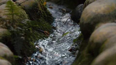 Small forest stream running between rocks Stock Footage 107923371