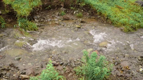 A small forest stream with water rapidly flowing over the stones 動画素材 157925041
