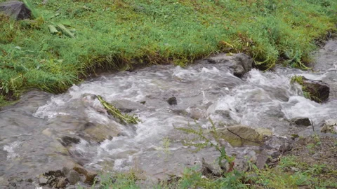 A small forest stream with water rapidly flowing over the stones Stockbeeldmateriaal 157963365