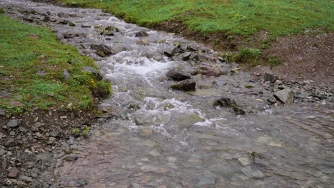 A small forest stream with water rapidly flowing over the stones Video stock 157963812