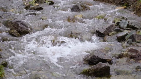 A small forest stream with water rapidly flowing over the stones Stock Footage 157964339