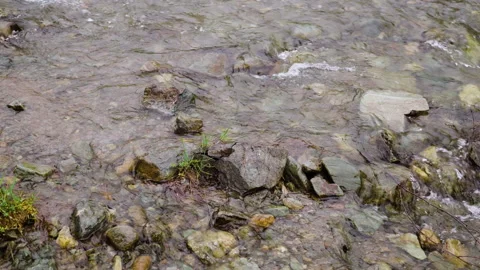 A small forest stream with water rapidly flowing over the stones Stock-Footage 158004468