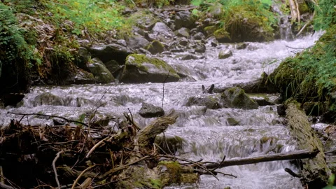 A small forest stream with water rapidly flowing over the stones 動画素材 158050384